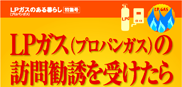 LP�K�X�̂����炵���W��
