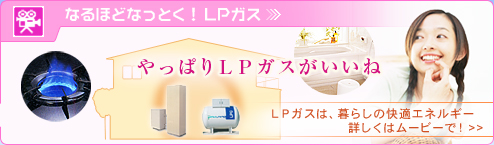 �Ȃ�قǂȂ��Ƃ��I LP�K�X