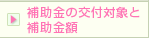 ⏕̌tΏۂƕ⏕z 