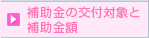 ⏕̌tΏۂƕ⏕z 